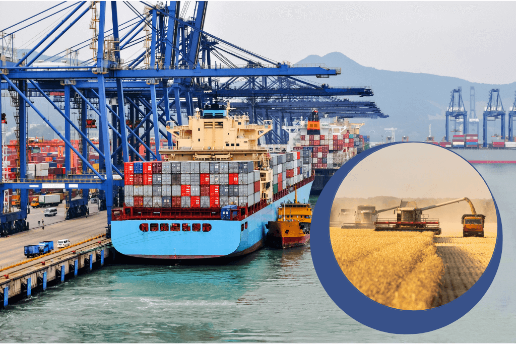 A China leva tudo! PND do Brasil