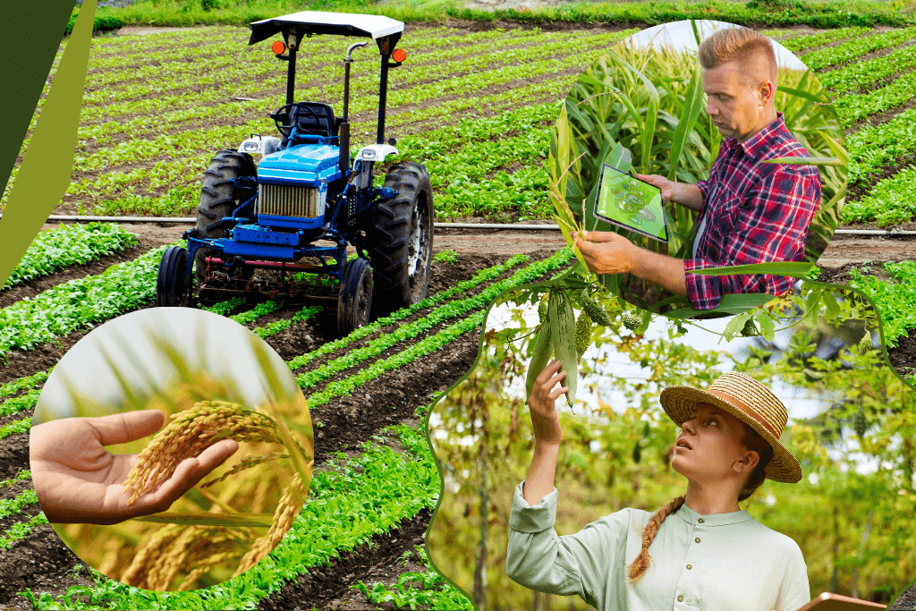 Uma das maiores agriculturas do mundo! PND do Brasil