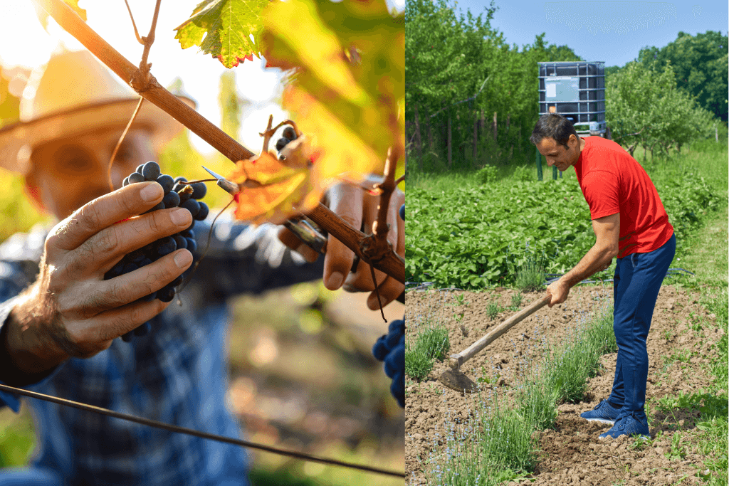 Agricultor sozinho. PND do Brasil