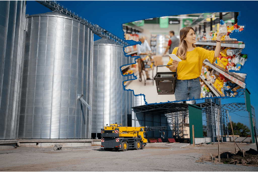 O governo entra na jogada! PND do Brasil