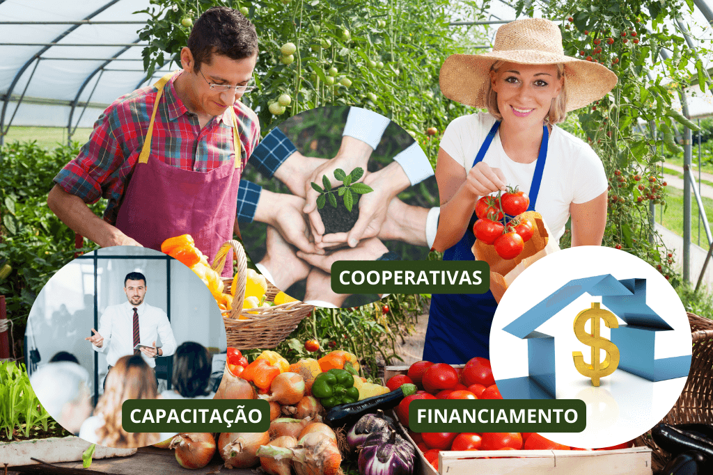 O governo pode ajudar! PND do Brasil