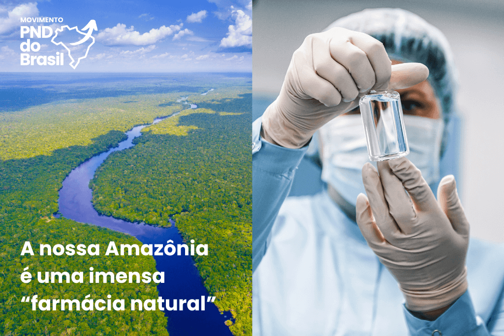 A Amazônia é uma imensa farmácia natural